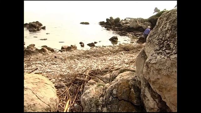 Даниэль Мерсье. Гуру подводного мира. смотреть онлайн