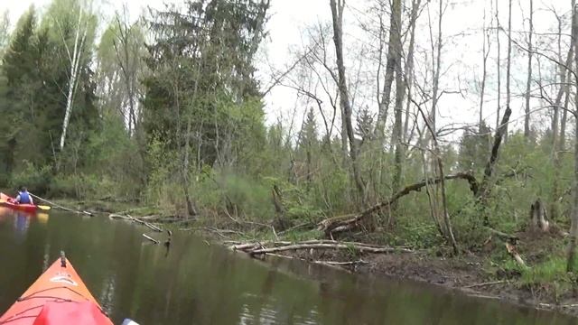 Ogre - сплав , 1 denj ( Cirsti - Tilts P80) 115 km 19-21maja 2017 смотреть онлайн