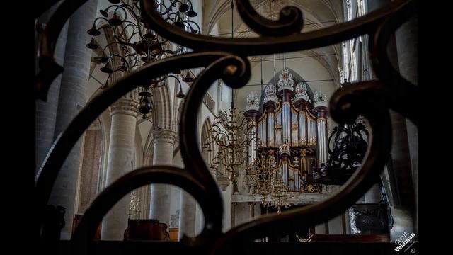 Psalm 95 vers 2 - Kam orgel Dordrecht смотреть онлайн