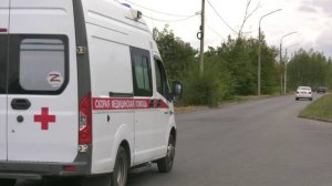 Жители Воронежа жалуются на нашествие крыс