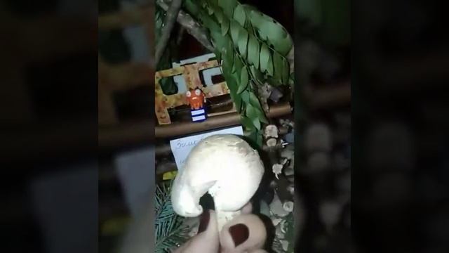 Поделка в школу из природных материалов на тему "осень" смотреть онлайн