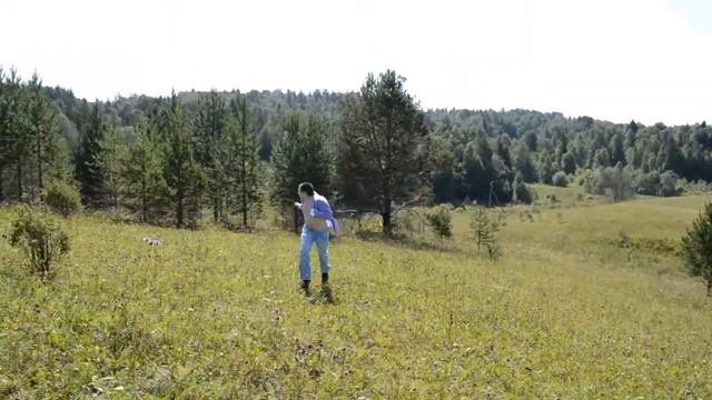 Студия Станционный Смотритель - Попа, худей смотреть онлайн