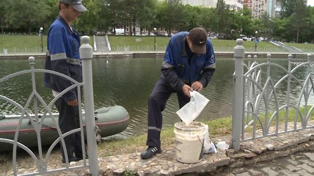 Фонтаны на городских прудах ежедневно очищают от мусора смотреть онлайн