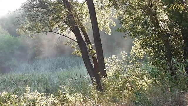 День рыбака... смотреть онлайн