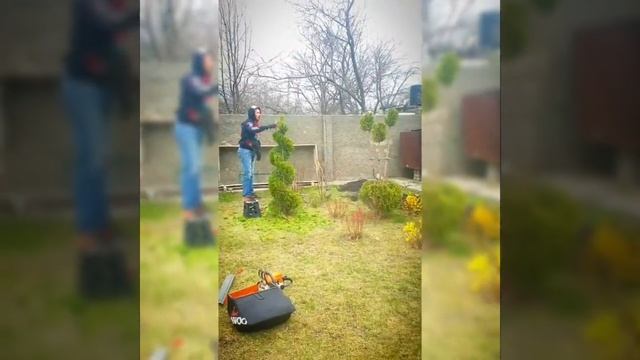 Топиарные стрижки растений смотреть онлайн