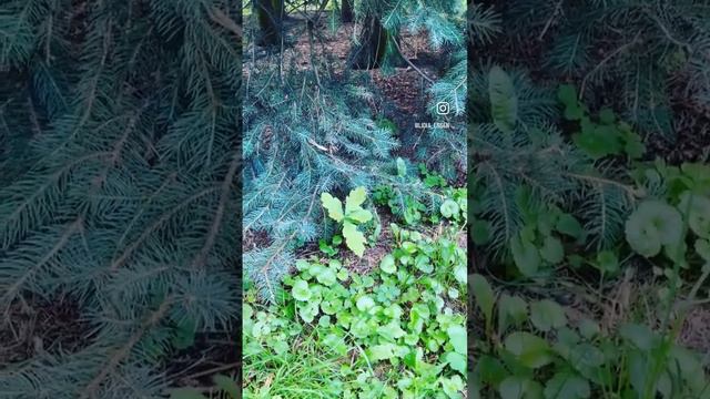 Ошибки при поиске бизнес идеи смотреть онлайн