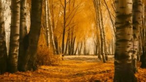 В первую брачную ночь гости услышали крики из спальни молодоженов. Прибежали и потеряли дар речи