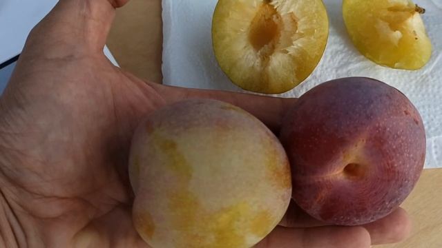 слива первые плоды смотреть онлайн