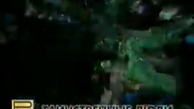 Реклама на VHS-Дорога на Эльдорадо(Премьер мультимедиа) смотреть онлайн