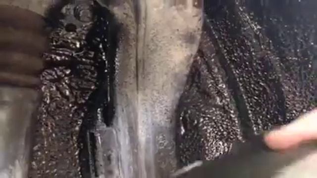 Skoda Yeti жидкие локеры - снижается шум в салоне и коррозия в арках больше не подступится к машине смотреть онлайн