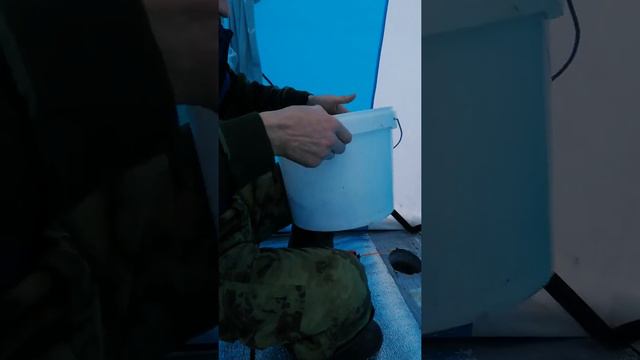 Рыбалка на #самаркандскоеводохранилище #темиртау #казахстан смотреть онлайн
