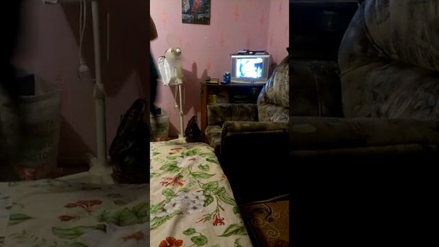 Сава-озорник!!как занять кресло))) смотреть онлайн