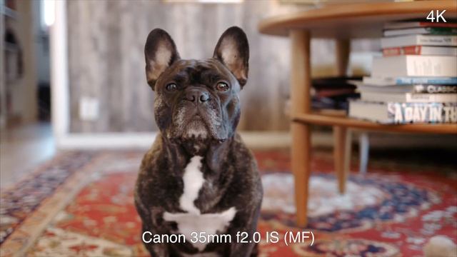 5 Reasons to Buy a JVC LS300 смотреть онлайн
