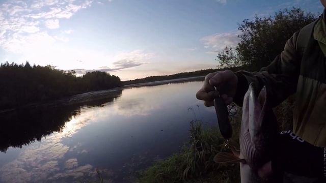 ИДЕАЛЬНЫЙ СПИННИНГ ДЛЯ ТВИЧИНГА! ПУШКА-ПАЛКА!!! смотреть онлайн