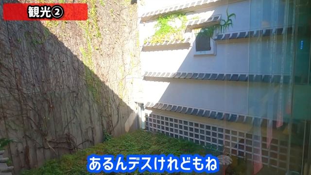 【高知旅行】朝から飲酒！高知市を観光した結果～カツオ・クジラ・タタキ・ウツボ～【県庁所在地をめぐる旅～高知県高知市～】 смотреть онлайн