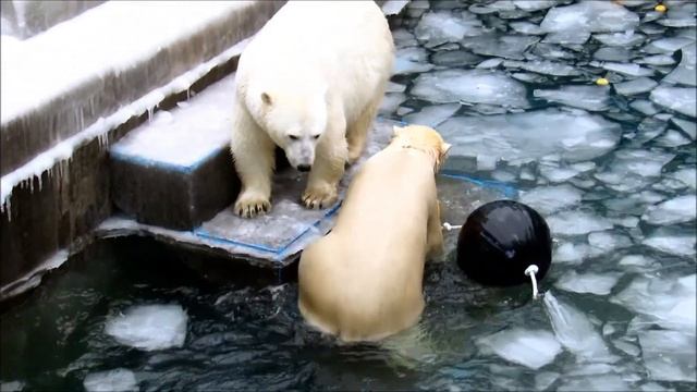 День рождение Герды (13 лет). Как хороши подарки в день рождения!!! 20.11.20 г. смотреть онлайн