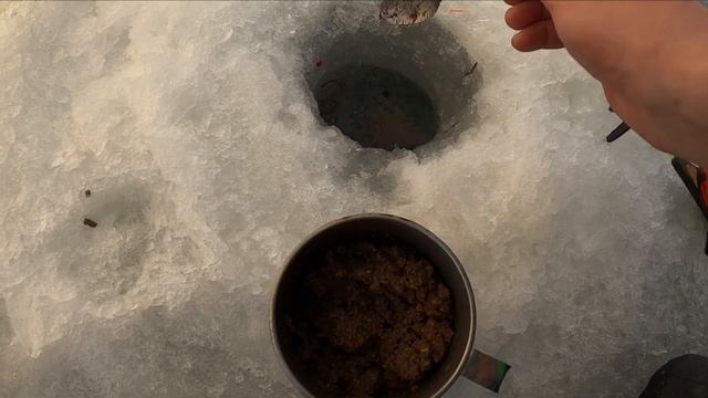 Реакция рыбы на АЛЬБУМИН смотреть онлайн