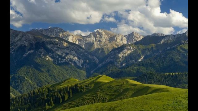 Aşıq Ələsgər "Can desin" смотреть онлайн
