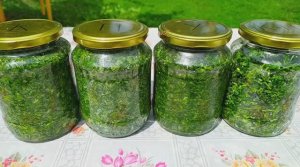 🌿☘️❄️Не сушу и не замораживаю!💯 Заготовка кинзы и петрушки на зиму🌿
