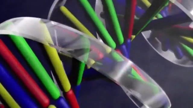 ГЕНЕТИКА. Что такое ГЕНОМ.