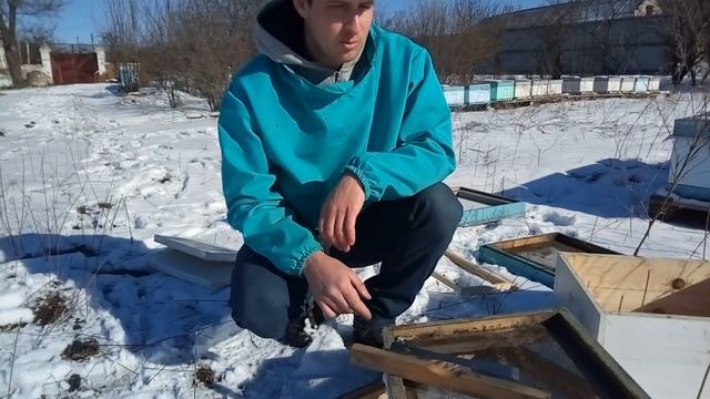 Дерево Vs пенопласт. Обзор конструкции улья