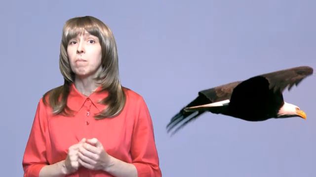 Услуги оформление смотреть онлайн