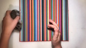 КАК ПРАВИЛЬНО БРАТЬ ХОМЯКА НА РУКИ? КАК БРАТЬ ХОМЯКА ЗА ШКИРКУ И МОЖНО ЛИ? СМОТРЕТЬ ВСЕМ!