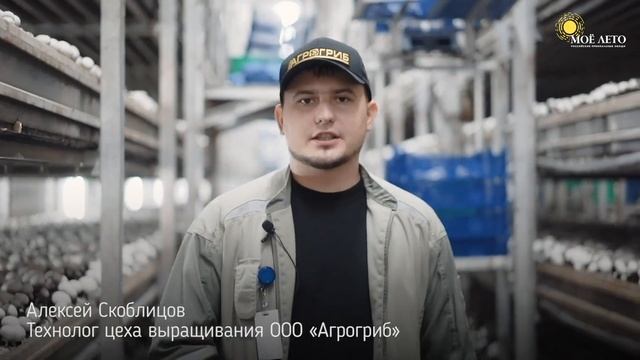 Агрохолдинг МОЁ ЛЕТО - один из крупнейших производителей свежих шампиньонов в России смотреть онлайн