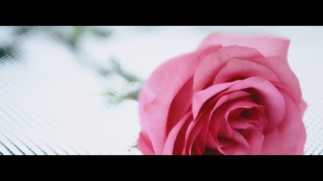 ALYOSHA - ПЛАНЕТИ | Official Video смотреть онлайн