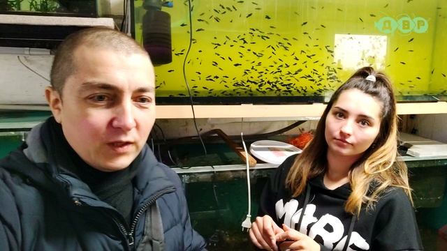 Требуется ЭЛЕКТРИК, ПЕЧНИК ИЛИ СОВЕТ! смотреть онлайн