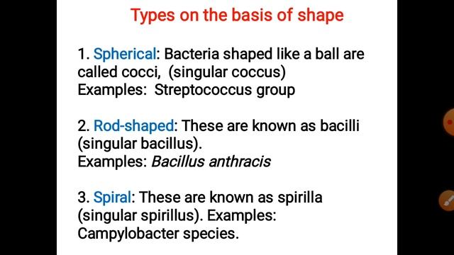 Structure of Bacteria | Types of Bacteria | Autotrophic and Heterotrophic Bacteria | In Hindi смотреть онлайн