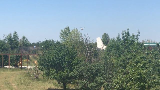 Львиная сиеста и громадный Чук! Тайган смотреть онлайн