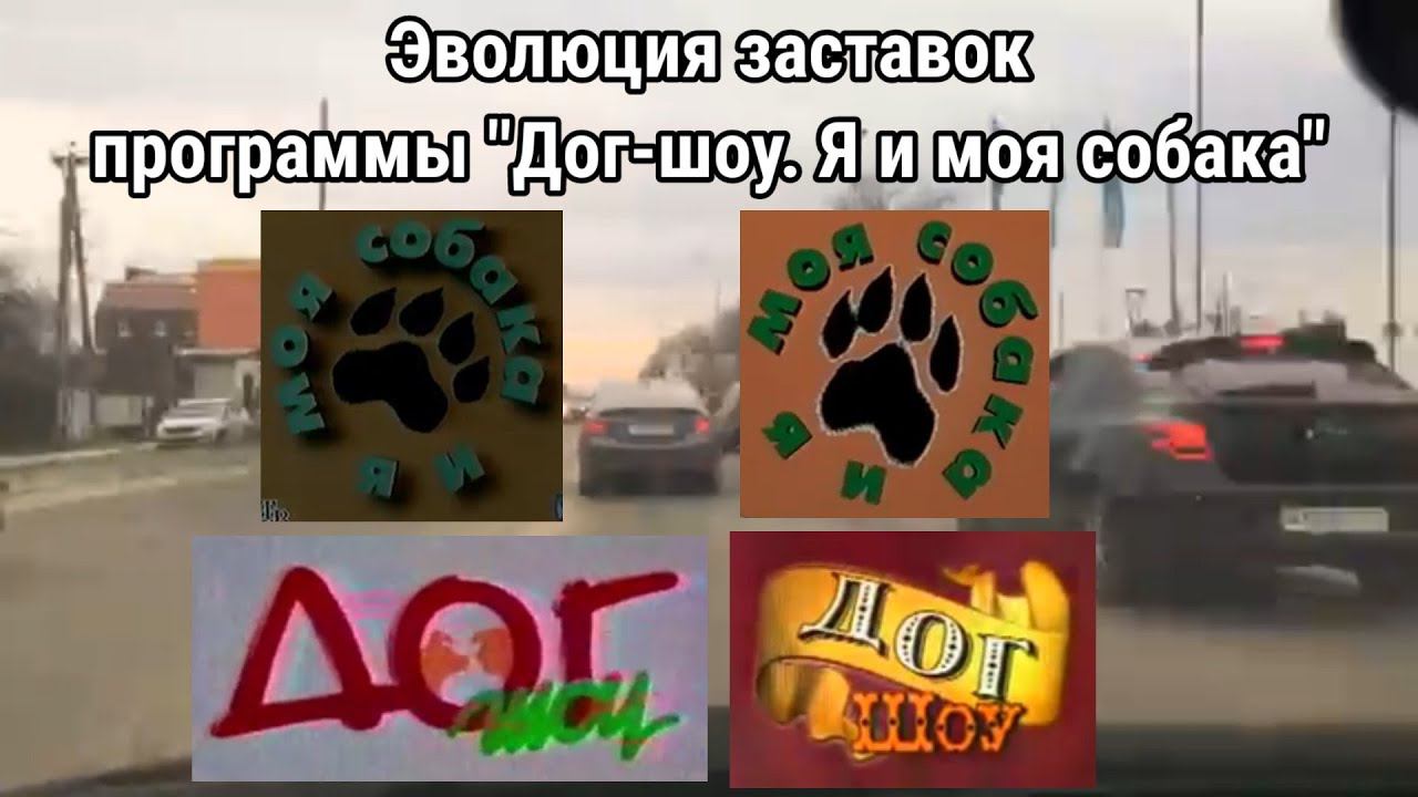 Эволюция заставок программы "Дог-шоу. Я и моя собака" смотреть онлайн