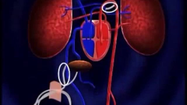 Видео роды! смотреть онлайн