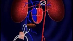 Видео роды!