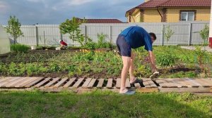 Садовая дорожка просто и быстро из поддонов
