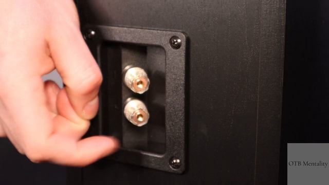 Unboxing DALI Oberon Vokal (Centre Speaker) смотреть онлайн