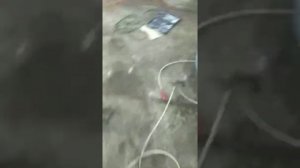 Забит сажевый фильтр Тойота Хайлюкс очистка