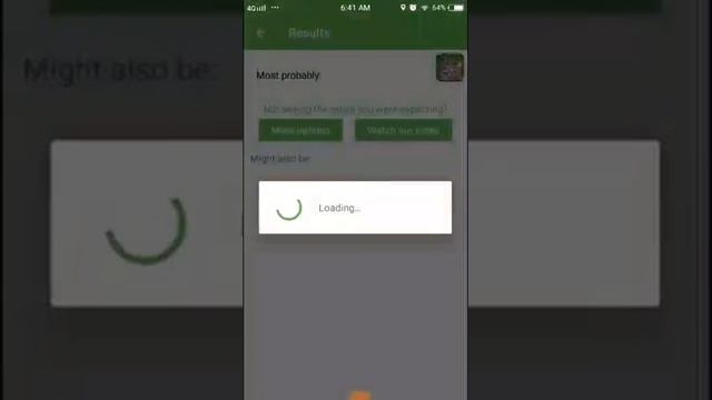 PlantSnap identifies a Narrowleaf Angelon (Angelonia angustifolia) смотреть онлайн