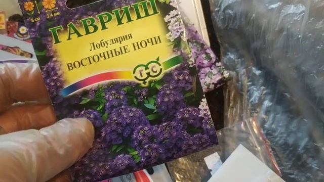 Посев Астра Циния Статица Флоксы Алиссум смотреть онлайн