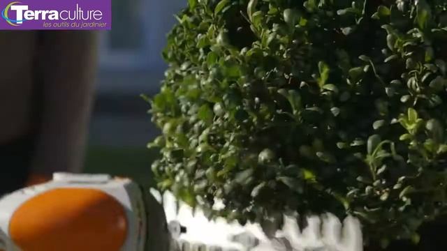 stihl hsa 25 distribué par Terraculture смотреть онлайн