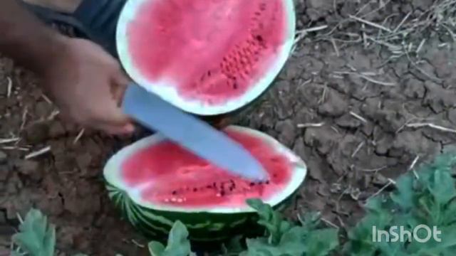 ролик для авито смотреть онлайн