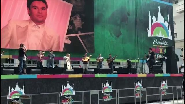 Мексиканцы репетируют День мертвых в Гостином дворе смотреть онлайн