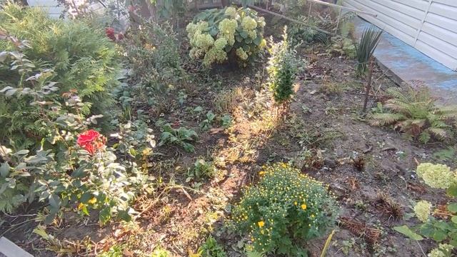 Славянск 1 октября 2023 стихи смотреть онлайн