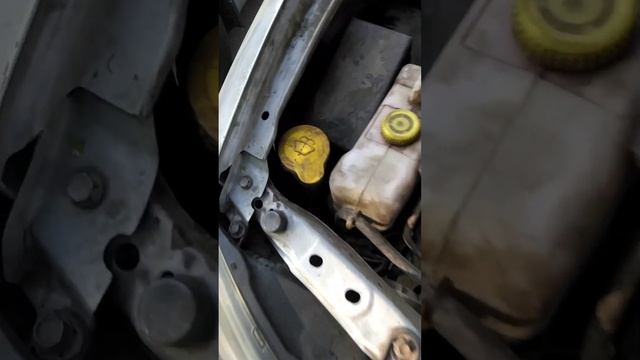 Куда залить воду в машине смотреть онлайн
