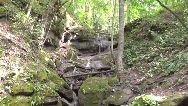 Природа в Никитино Мостовской район Краснодарский край предгорье Кавказа. Живите в Кайф!. смотреть онлайн