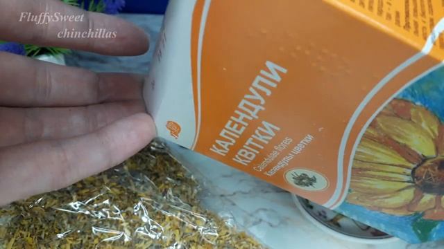 Аптечные травы. ОБЗОР. Календула для ШИНШИЛЛ. смотреть онлайн