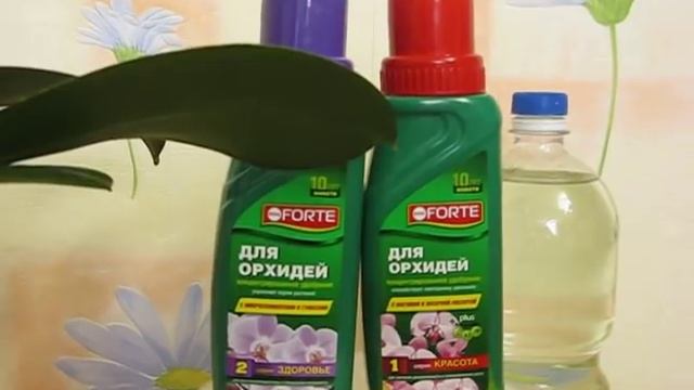 Как приготовить раствор для содержания орхидей в открытой системе смотреть онлайн
