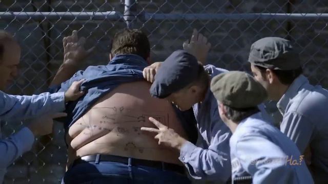 Юмор смотреть онлайн