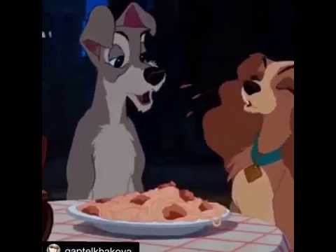 Ожидание и реальность собаки смотреть онлайн